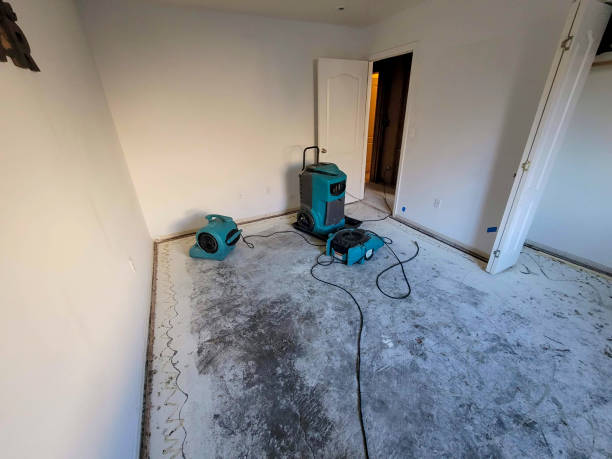 Best Water damage restoration experts  in Millersport, OH