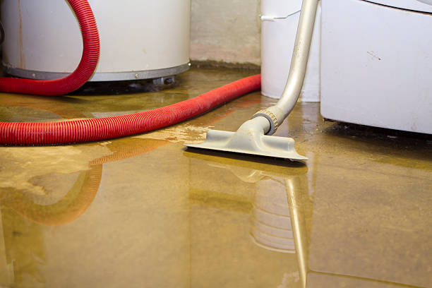 Best Sewage cleanup and water damage restoration  in Millersport, OH