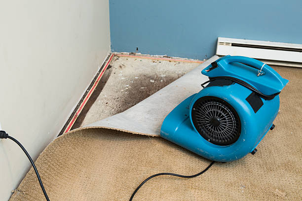 Best Residential water damage restoration  in Millersport, OH